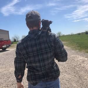 Meet your Posher, Robby